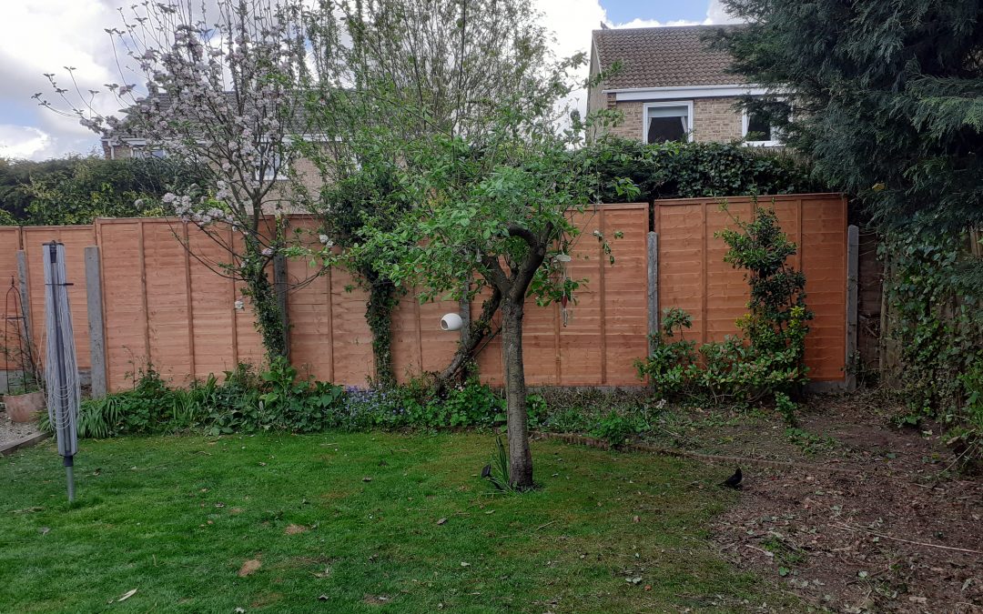 Close Boarded Fenced – South Cave – Hull